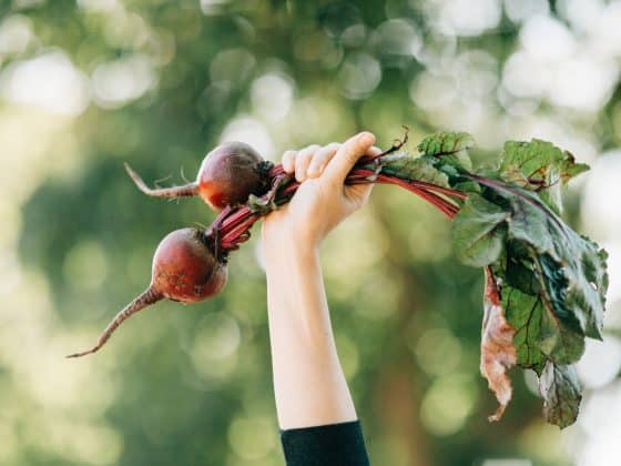 Person holding beetroot